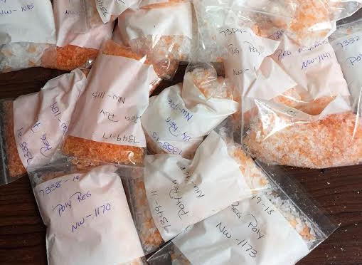 Plastic For Sale – PP Now in Stock